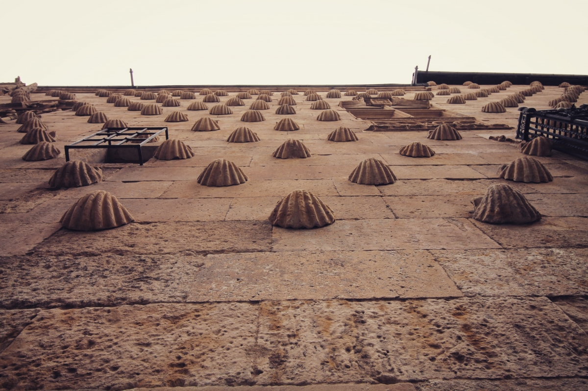 Casa de las Conchas (2)