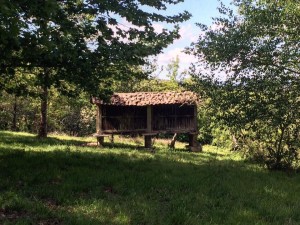 Cammino di Santiago - Hospital de la Cruz - Melide (8)