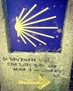 Cammino di Santiago - Melide - Pedrouzo (5)
