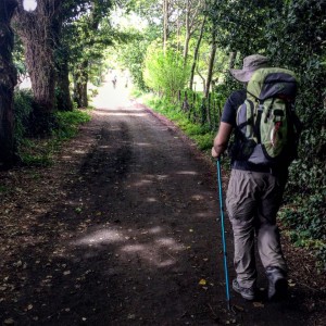 Cammino di Santiago - Melide - Pedrouzo (7)