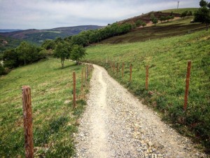 Cammino di Santiago - O Cebreiro - Tricastela (5)