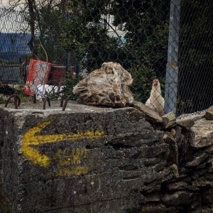 Cammino di Santiago - O Cebreiro - Tricastela (7)