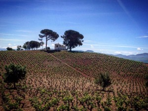 Cammino di Santiago - Ponferrada - Villafranca del Bierzo (2)