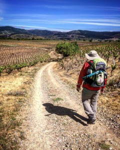 Cammino di Santiago - Ponferrada - Villafranca del Bierzo (6)