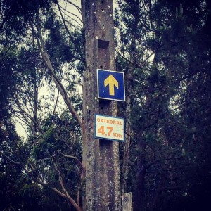 Cammino di Santiago - Santiago de Compostela (9)