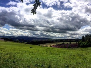 Cammino di Santiago - Tricastela - Barbadelo (1)