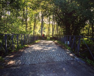 Cammino di Santiago - Tricastela - Barbadelo (12)