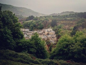 Cammino di Santiago - Tricastela - Barbadelo (13)