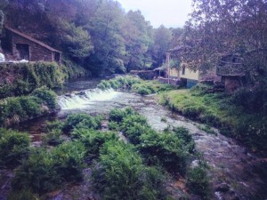 Cammino di Santiago - Tricastela - Barbadelo (16)