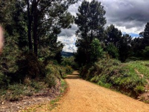 Cammino di Santiago - Tricastela - Barbadelo (2)