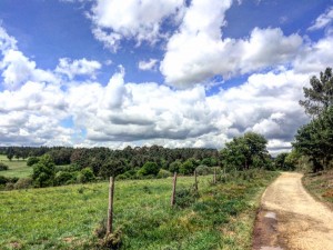 Cammino di Santiago - Tricastela - Barbadelo (3)