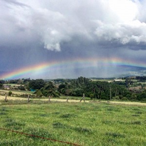 Cammino di Santiago - Tricastela - Barbadelo (9)