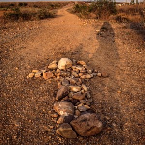 Cammino di Santiago - Villavante - Astorga (14)