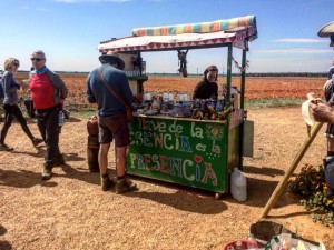 Cammino di Santiago - Villavante - Astorga (2)