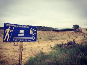Cammino di Santiago - Villavante - Astorga (21)