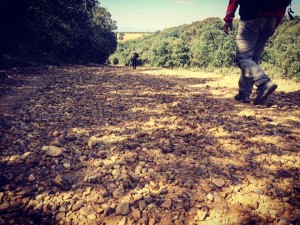Cammino di Santiago - Villavante - Astorga (23)