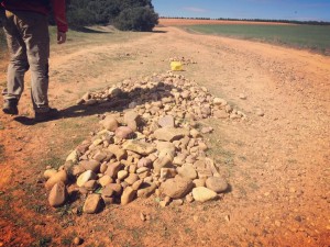 Cammino di Santiago - Villavante - Astorga (24)