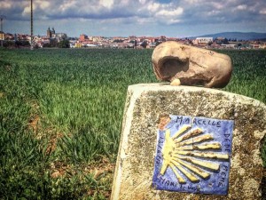 Cammino di Santiago - Villavante - Astorga (4)