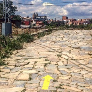 Cammino di Santiago - Villavante - Astorga (5)
