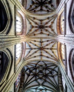 Cammino di Santiago - Villavante - Astorga (9)